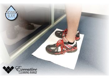 WWWCS Executive Cleaning 40 x 60cm TouchDry Pad